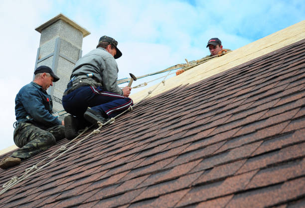 Quick and Trustworthy Emergency Roof Repair Services in Palmyra, PA